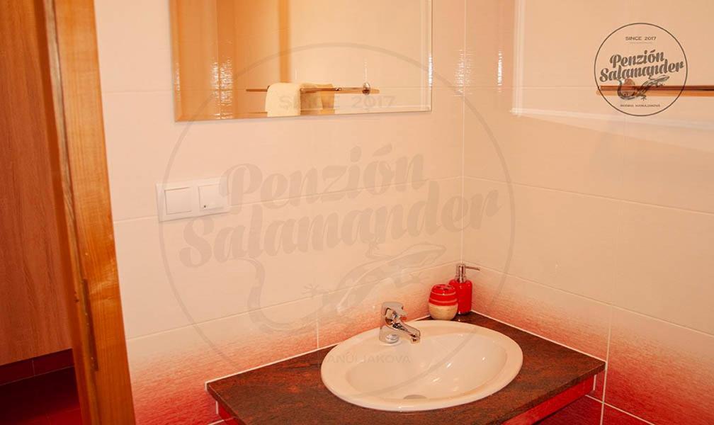 Penzion Salamander Terchová Buitenkant foto